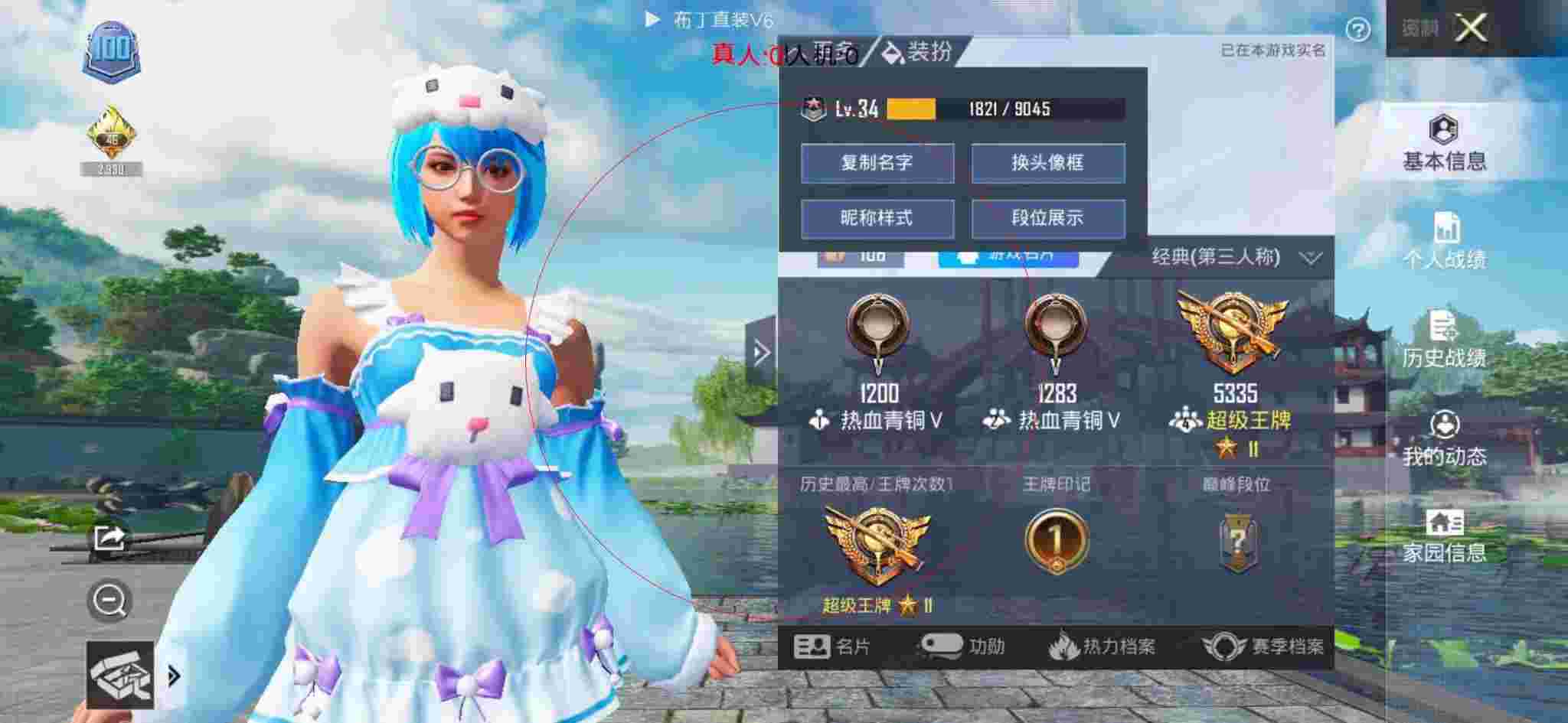 和平精英布丁直装透视 - 和平辅助店订餐表格模板辅助预览图